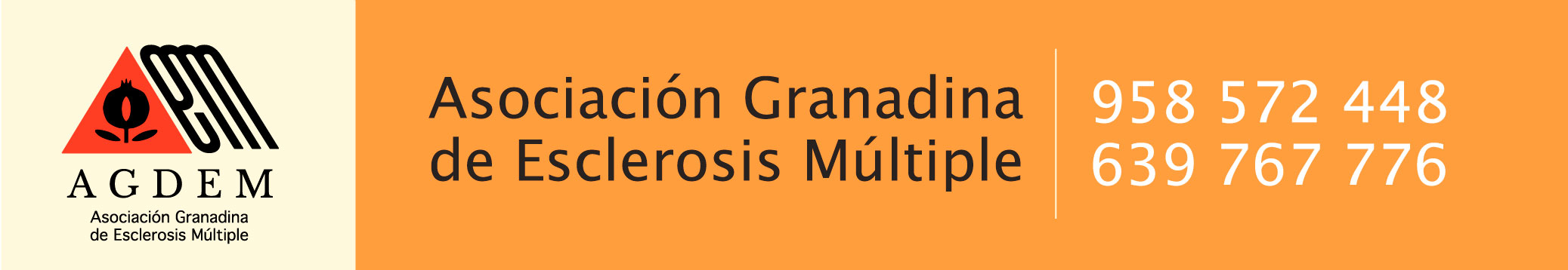 Asociación Granadina de Esclerosis Múltiple